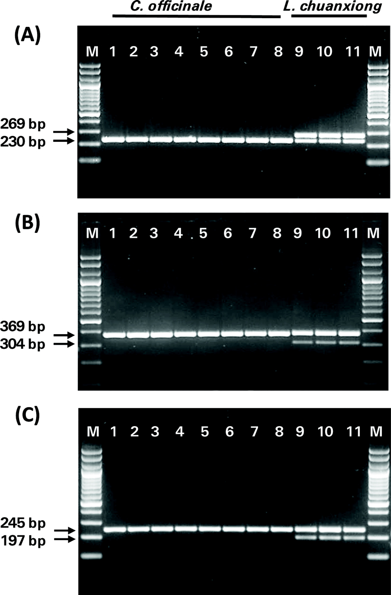 Fig. 2. Fig. 2.