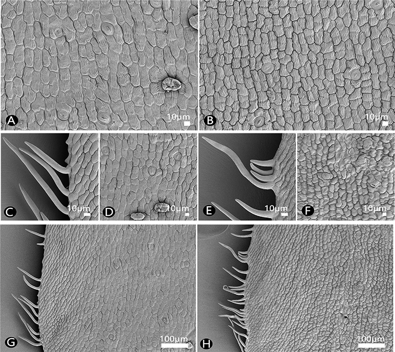 Fig. 3. Fig. 3.