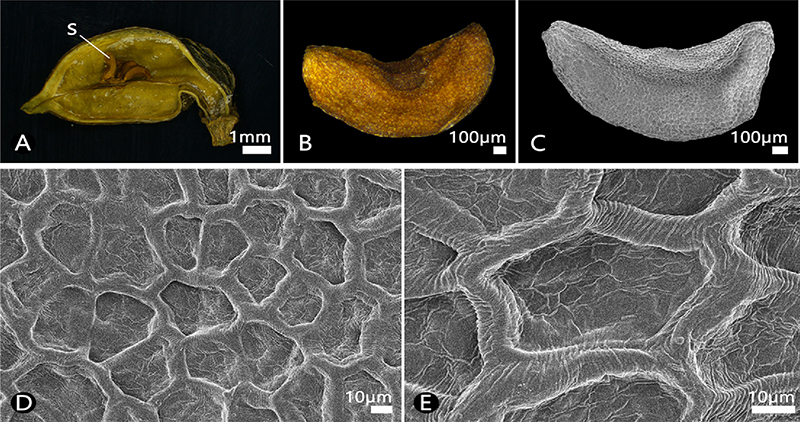 Fig. 6. Fig. 6.