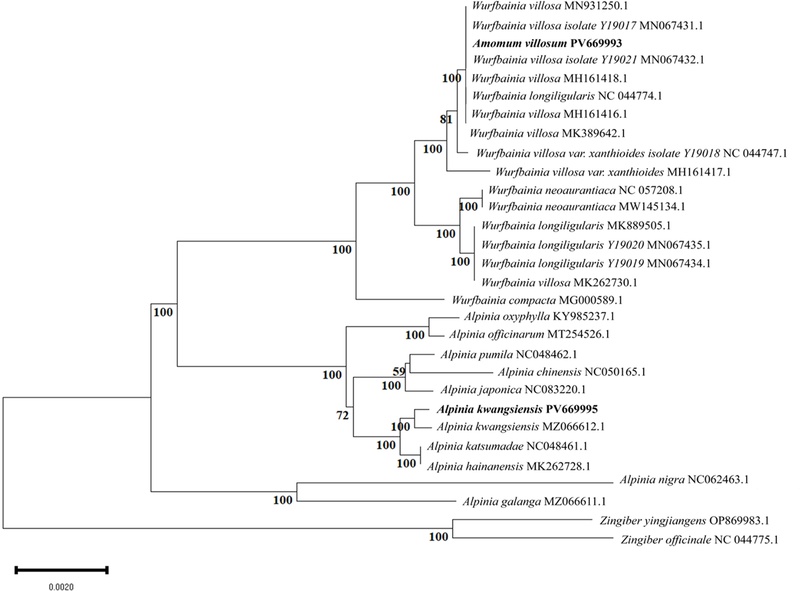 Fig. 4.